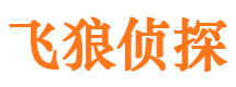 霸州市调查公司